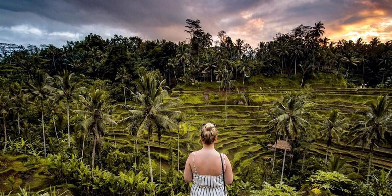 Turis asing di sawah berundak Ubud, Bali