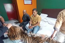 Abang dan Adik di Padang Sidimpuan Ditangkap karena Jual Kulit Harimau dan Sisik Trenggiling