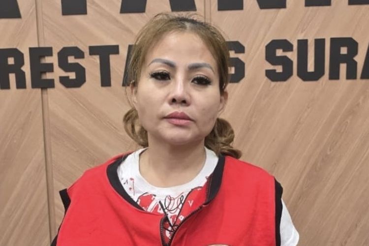 Perjalanan Kasus Jan Hwa Diana, dari Penahanan Ijazah hingga Tersangka Perusakan Mobil