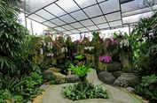 Lokasi dan Rute Menuju ke Duta Orchid Garden