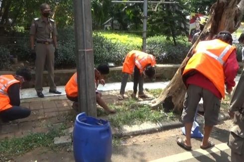 Pelanggar PSBB Dihukum Bersihkan Rumput dan Sampah di Jalan Basuki Rachmat