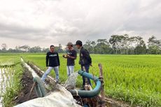 Petani di Lumajang Kesulitan Air akibat Dam Jebol, Bupati: Belum Ada Realisasi dari APBD Jatim