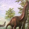 Langka, Ahli Temukan 17 Gigi Dinosaurus Sauropoda di Australia