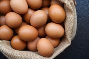Sejak Kapan Telur Ayam Digunakan Jadi Bahan Makanan?