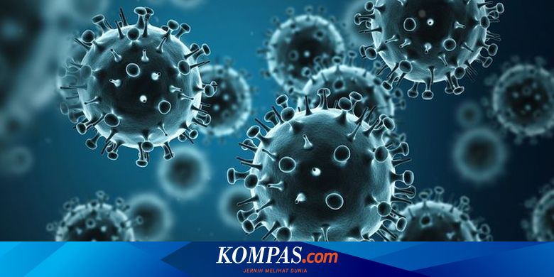 Update Corona 21 Agustus: 5 Negara Kasus Terbanyak | Covid-19 di Thailand Tembus 1 Juta - Vimarsana News
