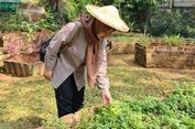 Belajar Ketahanan Pangan dari Hutan Kota di Seniman Pangan
