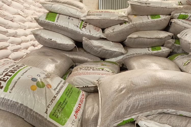 Jual 80 Karung Pupuk Bersubsidi, Pria di Kotim Terancam 6 Tahun Penjara