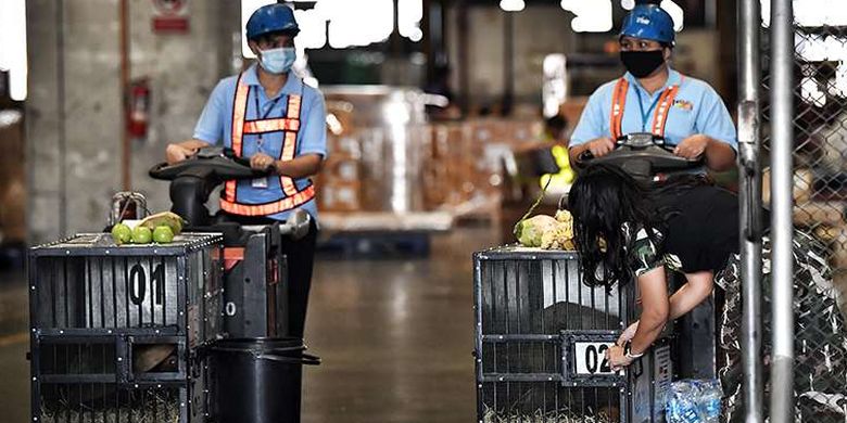 Two critically endangered Sumatran orangutans are brought back to Indonesia by air from Suvarnabhumi Airport, Bangkok on Thursday, December 17, 2020.  