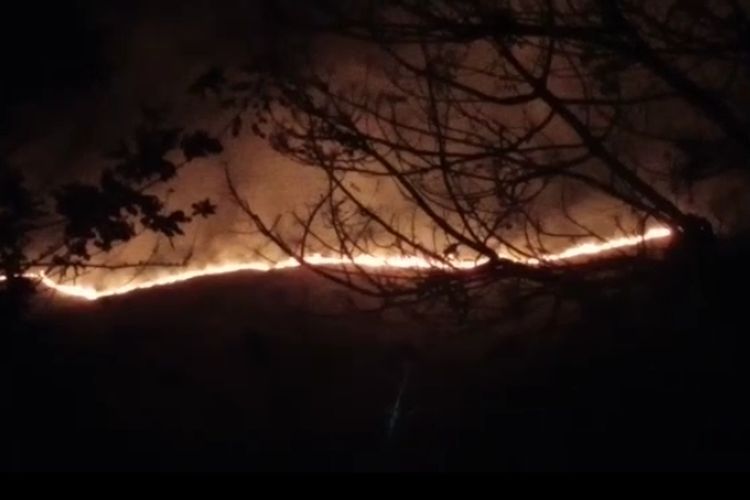 Cagar Alam Wae Wuul merupakan bagian dari World Heritage sebagai Kawasan perlindungan Komodo, di Labuan Bajo, Kabupaten Manggarai Barat, NTT, terbakar api, pada Jumat (19/8/2022).