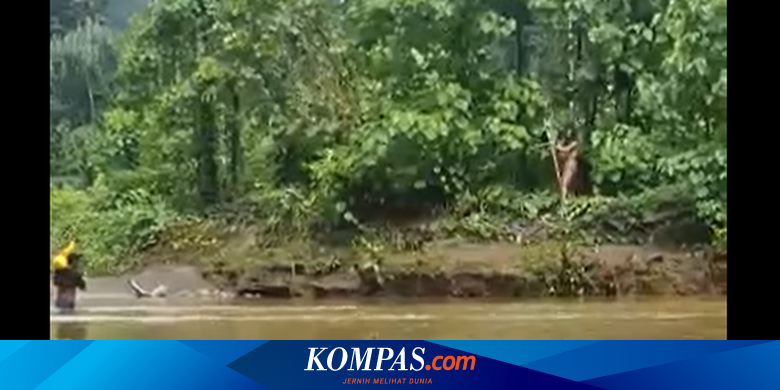 Video Viral Suku Togutil Disebut Memanah Warga, Ini Penjelasan Polda Maluku Utara