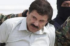Senator AS: Aset El Chapo Bisa Dimanfaatkan untuk Bangun Tembok Perbatasan