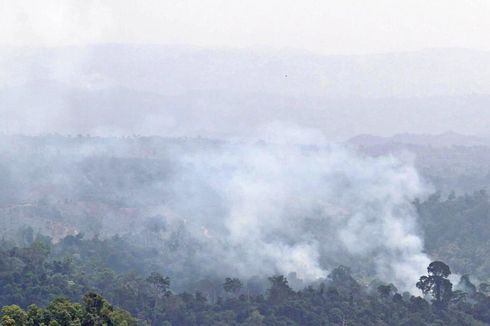 Polisi Tangkap 10 Orang Pelaku Pembakaran Lahan di Riau