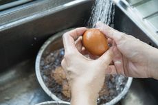 6 Kesalahan Simpan Telur, Jangan Cuci Sebelum Simpan 