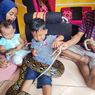 Hidup Bareng Piton, Keluarga di Kuningan Tetap Awasi Anak Saat Main dengan Ular