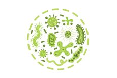 Pengertian dan Jenis-jenis Bakteri