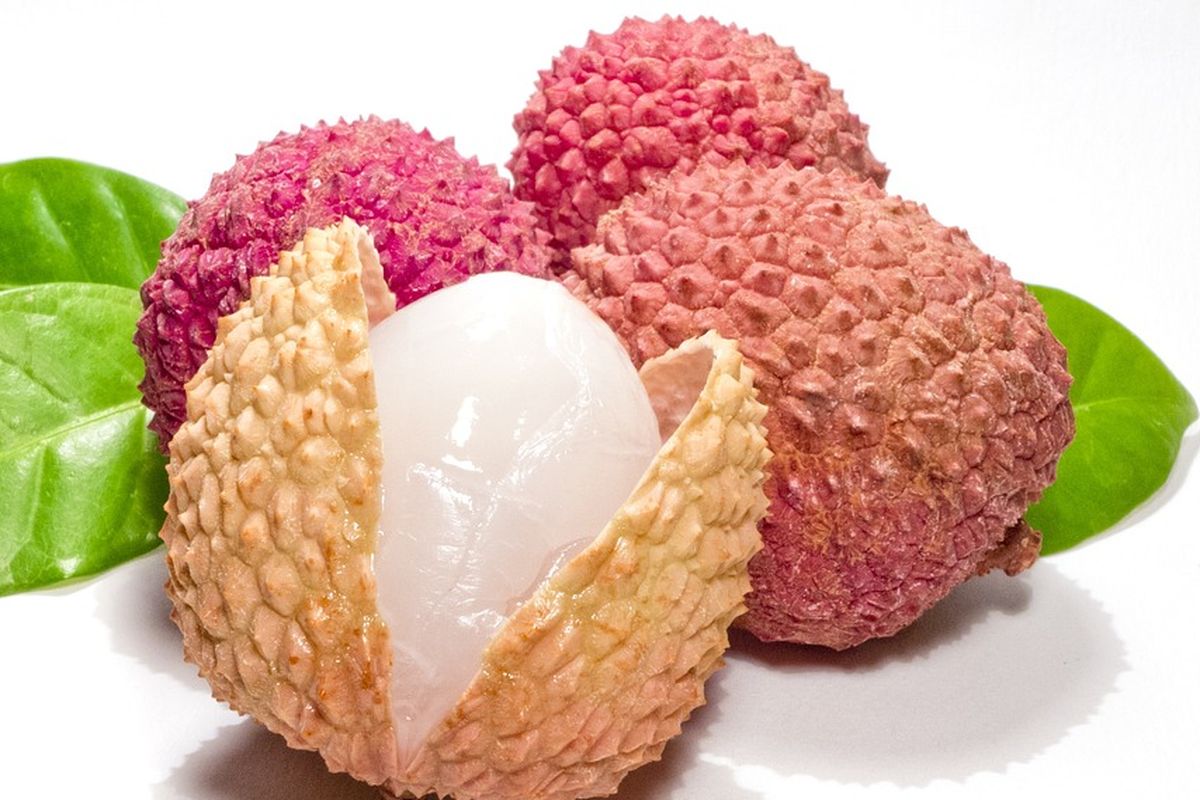 Ilustrasi leci, buah leci.