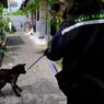 605 Kasus Gigitan Anjing Terjadi di Buleleng pada Januari dan Februari, 1 Orang Meninggal karena Rabies