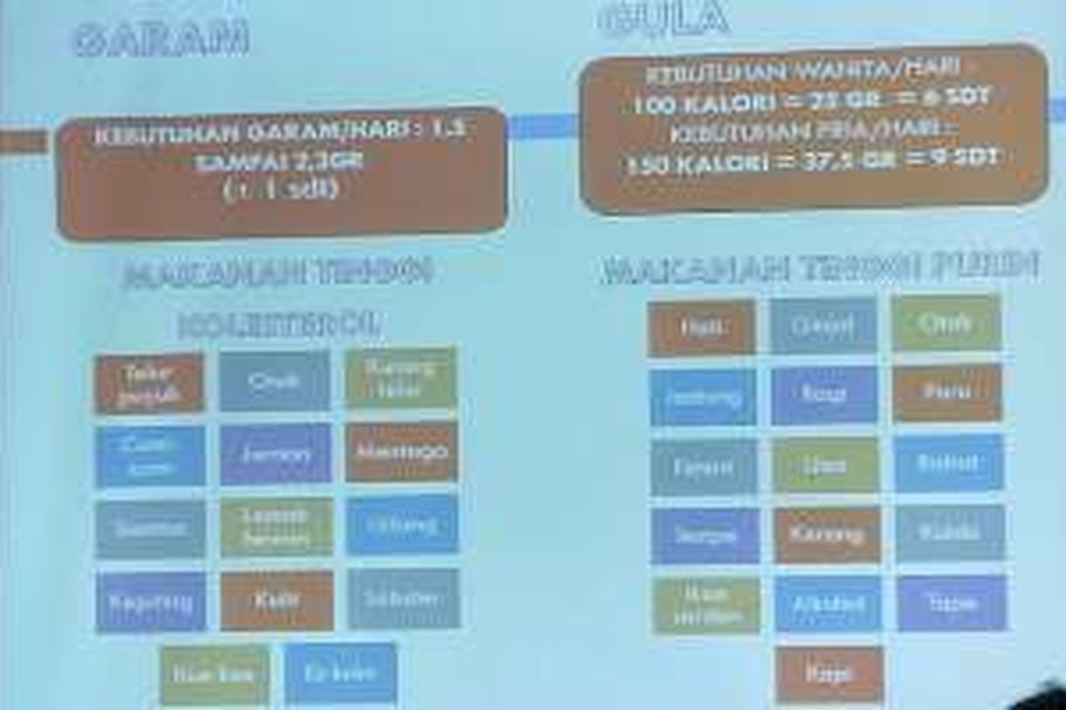 Presentasi hari pertama program 