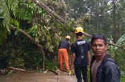 Wonosobo Diterjang Hujan Angin: 3 Rumah di Krasak Rusak, Pohon Tumbang Menutup Jalan