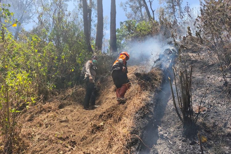 Karhutla Gunung Buthak-Kawinajang Malang Padam, Petugas Waspadai Bara Kembali Menyala