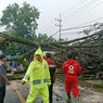 Hujan dan Angin Kencang di Malang: Pohon Tumbang, Rumah Rusak