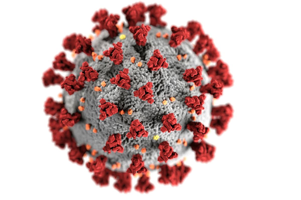 Human Metapneumovirus (HMPV) yang ditemukan di Indonesia tidak berpotensi menjadi pandemi, dengan risiko fatal yang lebih kecil dibandingkan COVID-19.