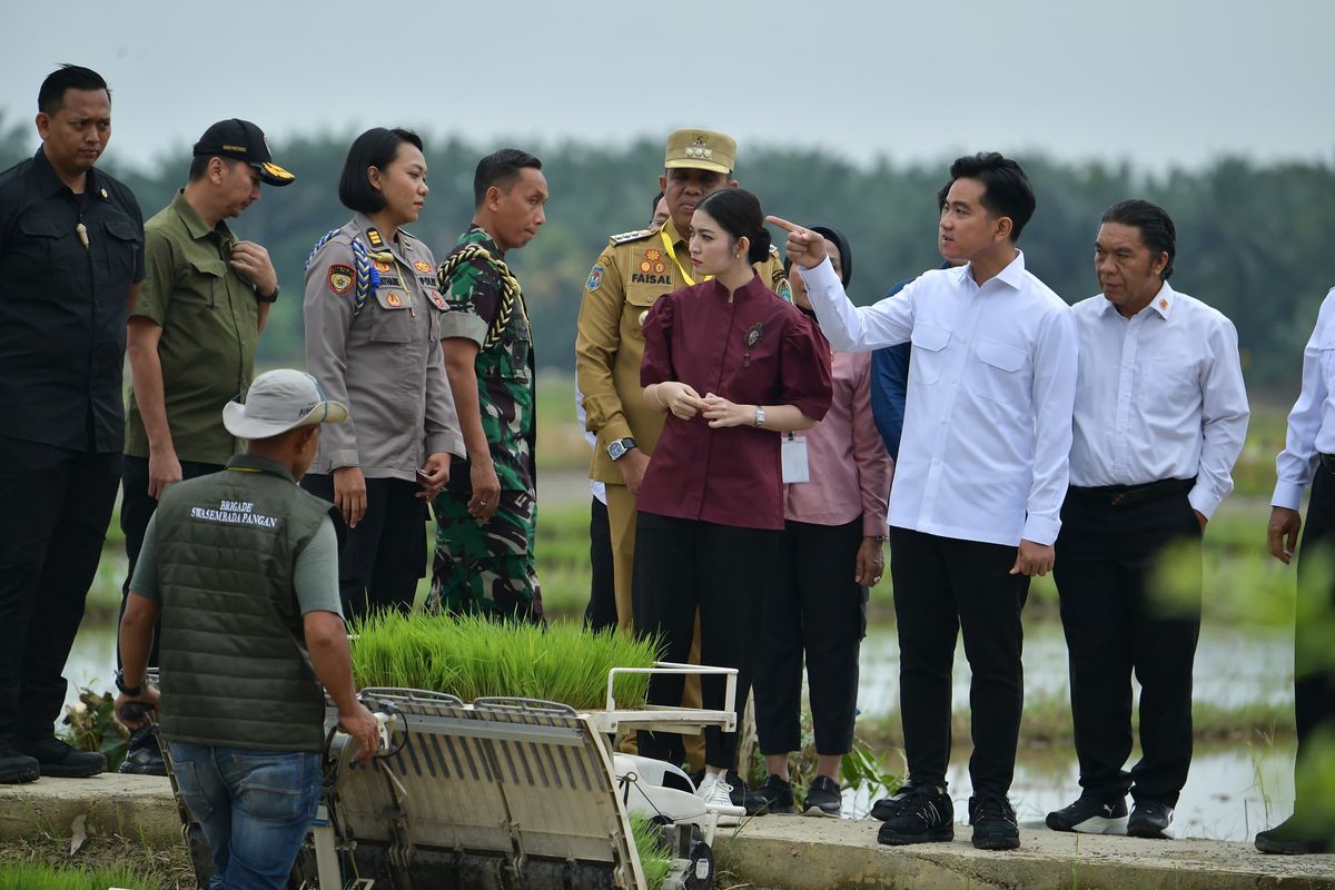 Gibran Tinjau Persawahan di Langkat, Sampaikan Pesan Swasembada Prabowo