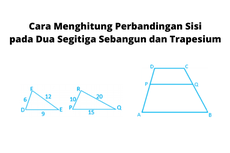 Cara Menghitung Perbandingan Sisi pada Dua Segitiga Sebangun dan Trapesium