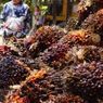 Curi 220 Kg Buah Sawit di Lampung Tengah, 3 Pria Ditangkap Polisi