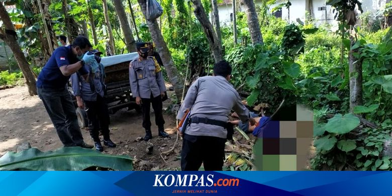 Jatuh Saat Panjat Pohon Kelapa Setinggi 15 Meter, Buruh Tani Berusia 70 Tahun Tewas - Vimarsana News