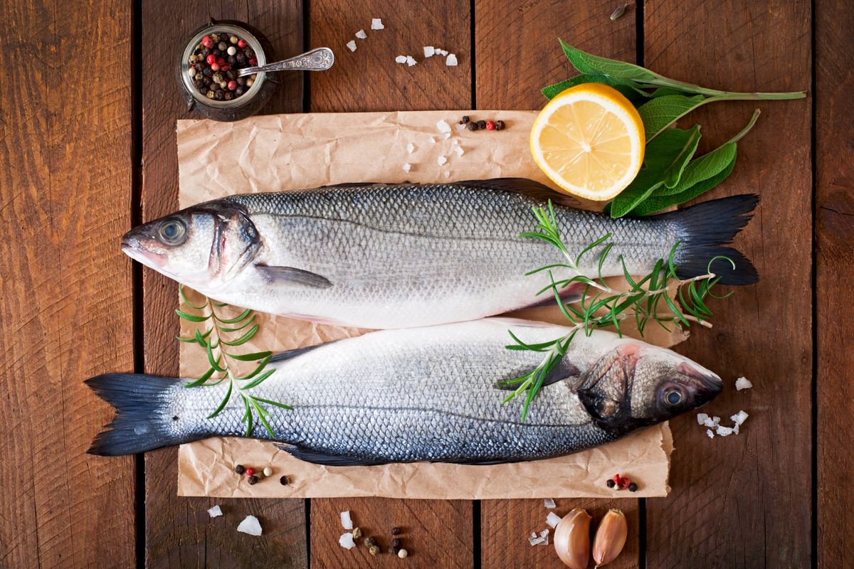 Ilustrasi Daging Ikan (Freepik.com)