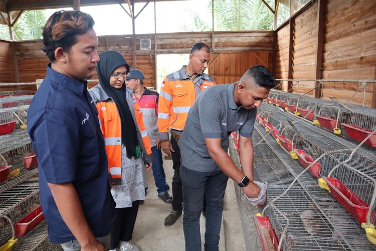 Olah Sampah Kelapa Jadi Pakan Unggas, Peternak di Aceh Hemat Biaya 60 Persen
