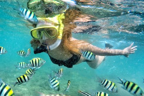 5 Pantai di Gunungkidul untuk Snorkeling, Airnya Masih Jernih