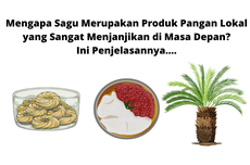 Mengapa Sagu Merupakan Produk Pangan Lokal yang Sangat Menjanjikan di Masa Depan? Ini Penjelasannya....