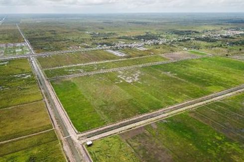 Peneliti BRIN Nilai Program Food Estate di Kalteng Sudah Tepat