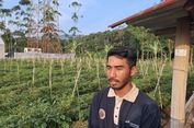 Panas Bumi Kamojang Sokong Dapur Petani
