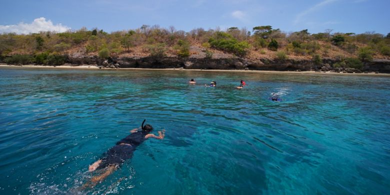Wisatawan sedang snorkeling di sekitar Pulau Menjangan, Taman Nasional Bali Barat, Kabupaten Jembrana, Bali, Minggu (29/10/2017).