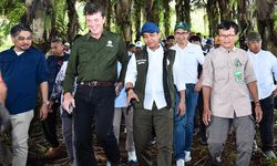 Menteri Kehutanan dan Pertamina NRE Dorong Program Aren Nasional untuk Kembangkan Bioetanol Indonesia