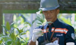 Lestarikan Keanekaragaman Hayati di Maluku Utara, Antam Jaga Ratusan Flora dan Fauna