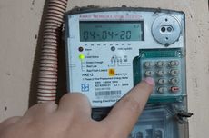 Soal Perusakan Kebun Kopi di Ijen Bondowoso, PTPN I Regional 5 Dukung Proses Hukum