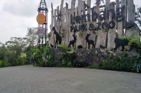 Harga Tiket Lembang Park & Zoo Terbaru buat Libur Sekolah 