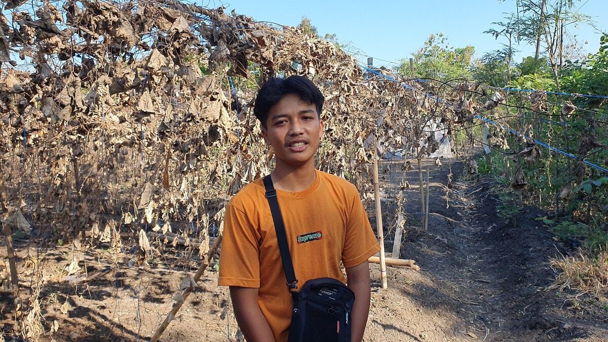 Alva Siswa SMK Gunungkidul Jualan Sayuran Omzet Fantastis, Tak Ingin Beli Sayur Luar Daerah