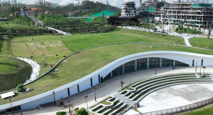 Kaltim Perkuat Kehutanan Rakyat, Pohon Sengon di Dekat IKN Siap Panen