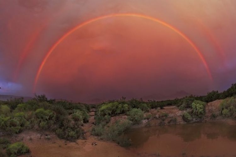 Ilustrasi red rainbows