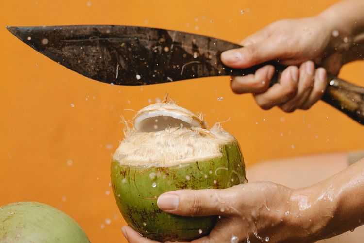 Ilustrasi proses mengupas kelapa muda menggunakan pisau tajam. 