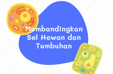 Perbedaan Sel Hewan dan Tumbuhan dan Langkah Pengamatannya
