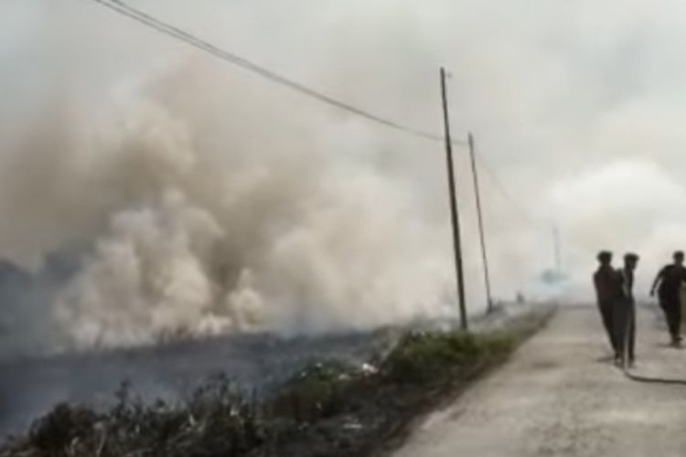 Salah satu titik api muncul di Kecamatan Bati-bati, Tanah Laut, Kalsel, Kamis (1/6/2023). Kebakaran itu telah berhasil dipadamkan