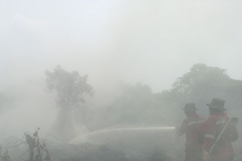 Lahan Gambut Terbakar di Kampar, Memperparah Kabut Asap Karhutla