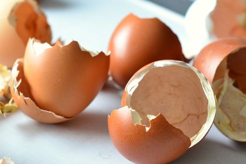 8 Manfaat Cangkang Telur, Jangan Buru-buru Dibuang