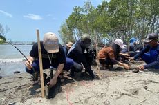 Menteri LH: Mangrove dan Gambut Jadi Kunci Pangkas Emisi